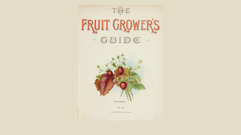 Title page of a book